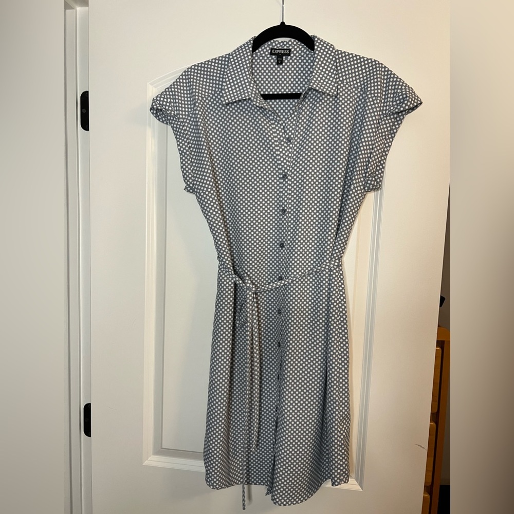 Express Polka Dot Dress